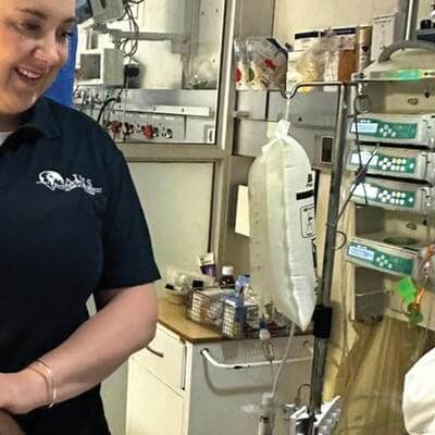 Aims healthcare worker