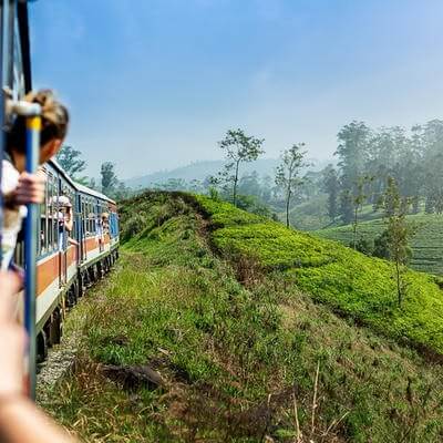 Young woman enjoying train ride from Ella to Kandy among tea plantations in the highlands of Sri Lanka