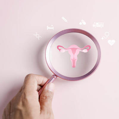 Checkup uterus, female reproductive system, women's health, PCOS, ovary gynecologic and cervical cancer, Healthy feminine concept