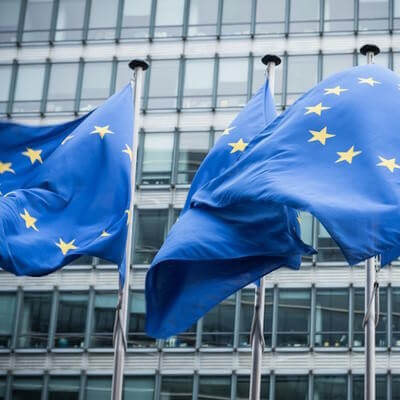 EU flags