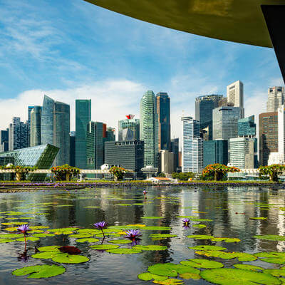 View of Singapore City Skyline with Pond in Foreground