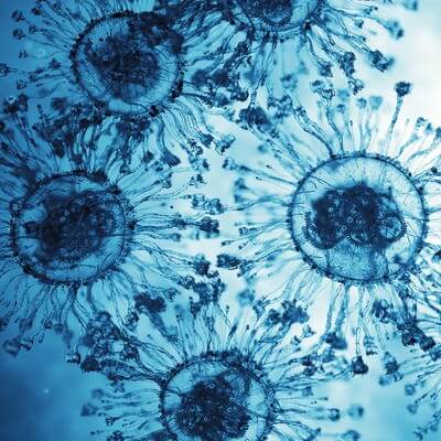 Guidance on global surveillance for respiratory viruses with pandemic potential updated