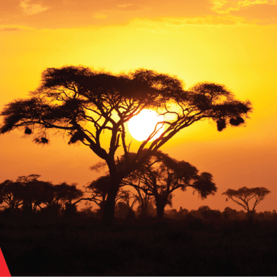 AMREF Flying Doctors