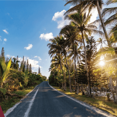 National Mortuary Shipping and Cremation