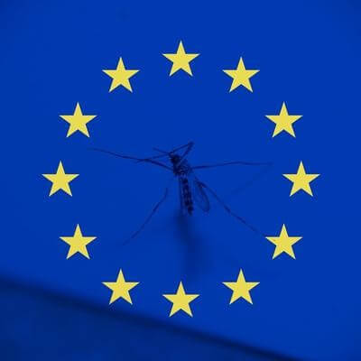 Europe mosquito