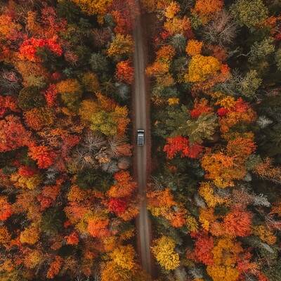 Autumn travel driving through forest