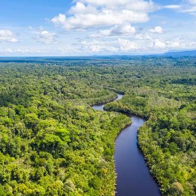Helicopter crash Borneo