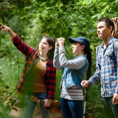 Group of friends walking on an adventure in the forest Look at the map to explore the forest and plan as a team.
