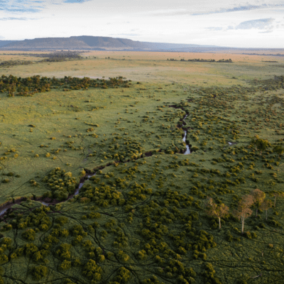 Maasai Mara