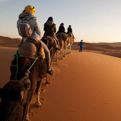 Tourists on camel trek