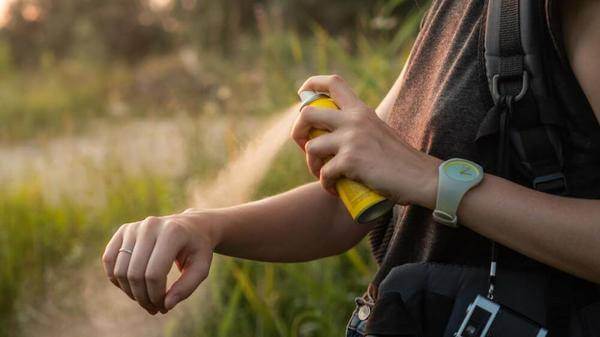 Disease risk and human travel research