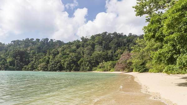 Sarcocystosis in Malaysia