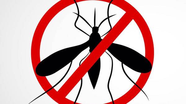 Dengue prevention!