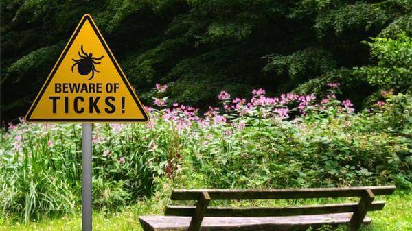 beware of ticks