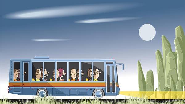 bus