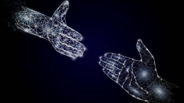 The insurance network