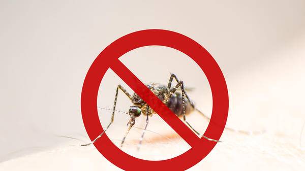 No mosquito sign