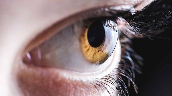 eye examination