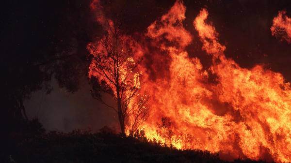 Wildfires raging