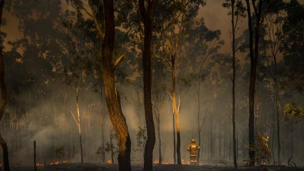 Firefighter observes damage caused by bushfires in Queensland
