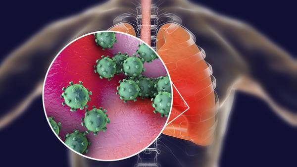 virus infecting human lungs