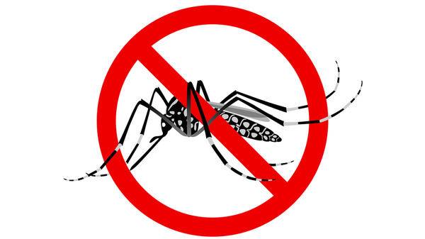 Mosquito Virus