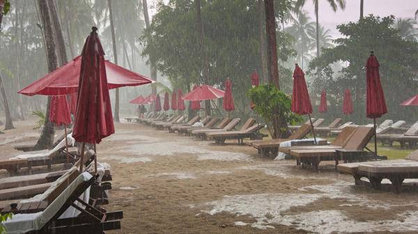 Rain
