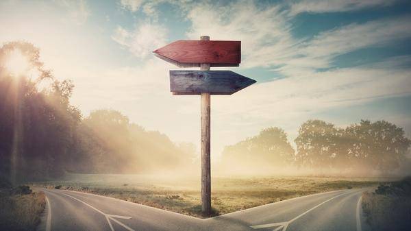 travel insurance distribution