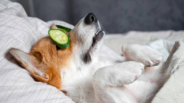 wellbeing