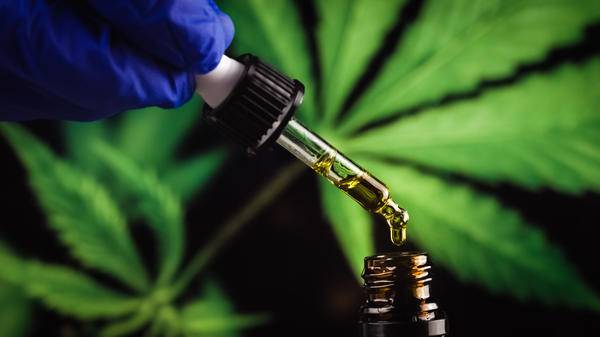 medical cannabis