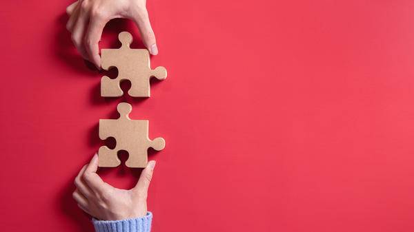 Partnership puzzle