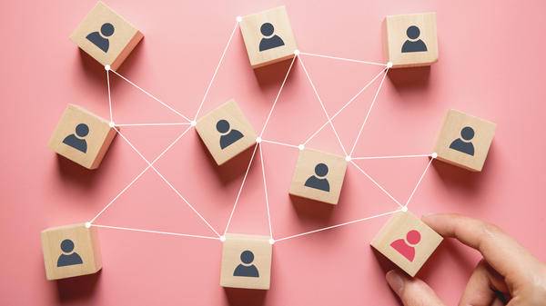 Partnership network