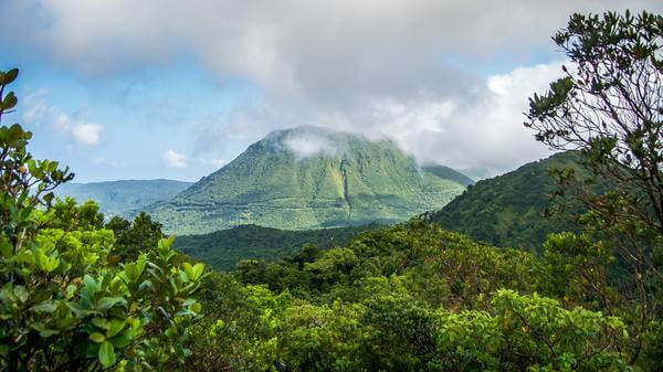 Dominica