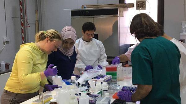 healthcare in jordan