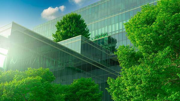 green hospital