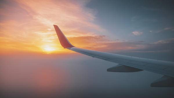 wing