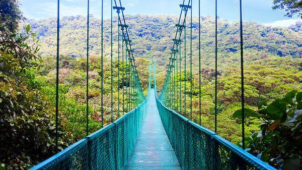 Long bridge