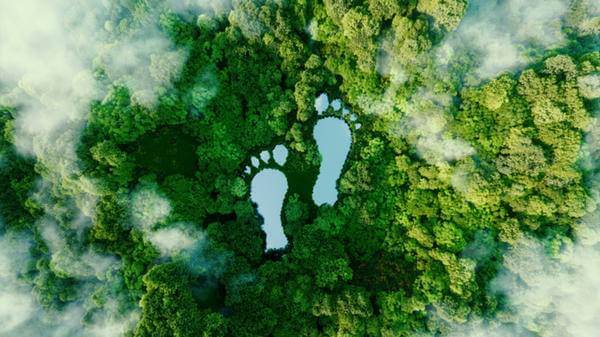 sustainability travel