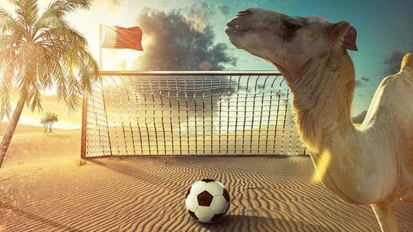 Camel