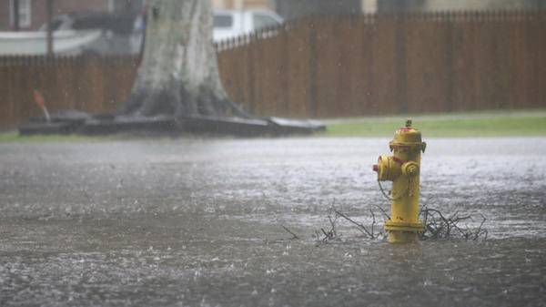 Rain USA