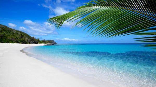 Fiji New Zealand travel insurance