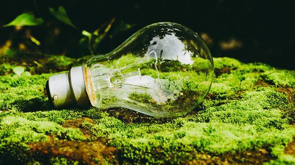 Lightbulb