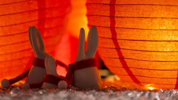year of the rabbit