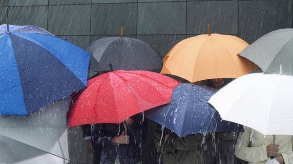 Rain umbrella
