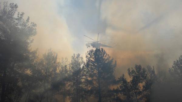 Rhodes forest fires1332217706