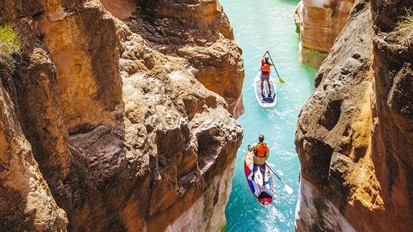 People paddle boarding
