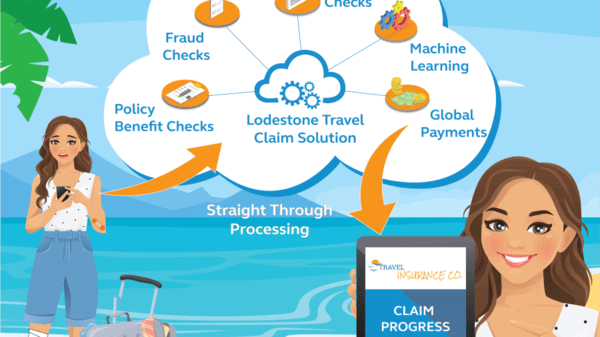 Lodestone travel insurance graphic