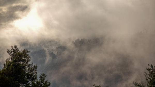 Image of wildfire smoke