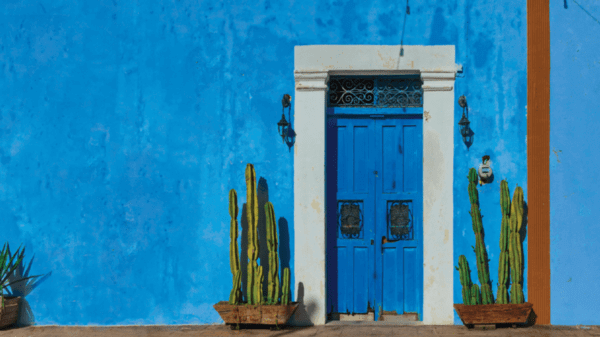 Blue door and cactus