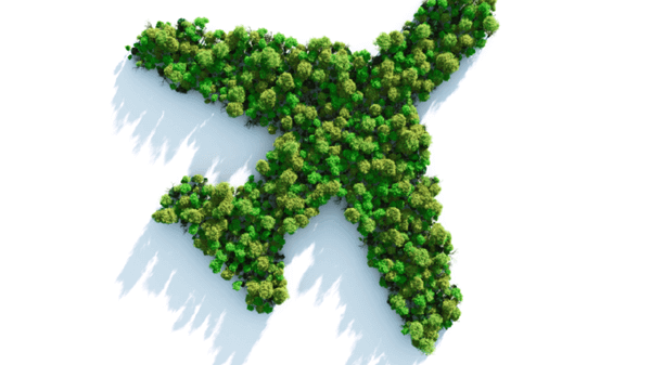Green trees making up a aeroplane